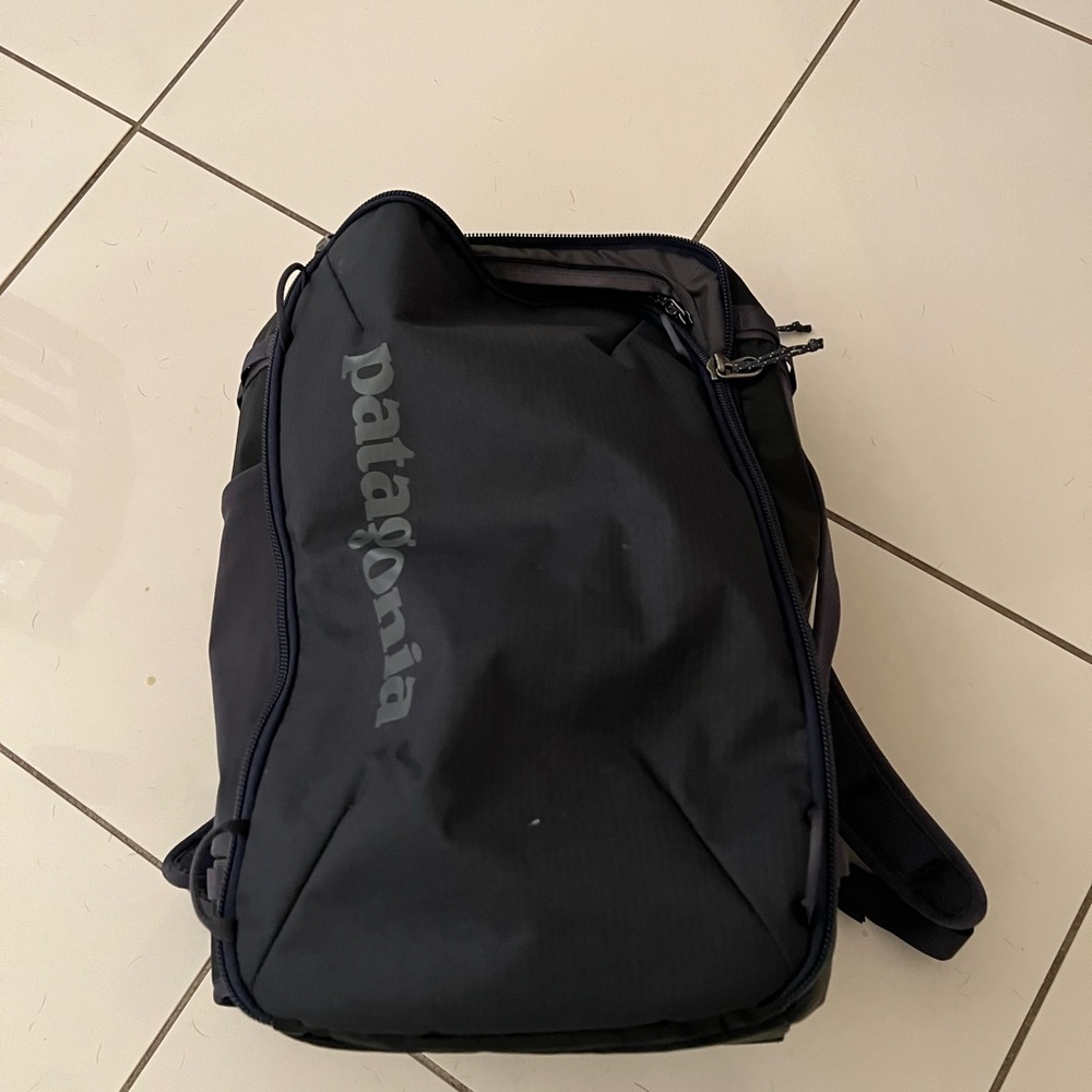 Patagonia black hole mini MLC backpack